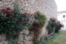 Foto 18