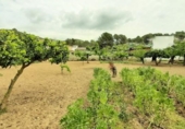 Suelo urbano en venta en la España, Sant Pere de Ribes, ref: TR113891 foto