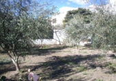 Casa de camp amb terreny en venda a la España, Laujar de Andarax, ref.: TR134351 foto