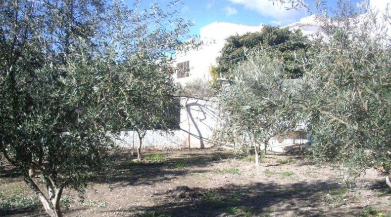 Almería - Láujar de Andarax - 1000m2