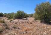 Non-developable land for sale on España, Sencelles, ref: TR114407 photo