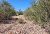 Non-developable land for sale on España, Sencelles, ref: TR114407 photo