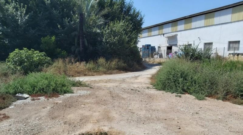 Múrcia - Murcia - 769m2
