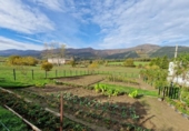 Suelo urbano en venta en la España, Tarriba, ref: TR119546 foto