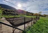 Suelo urbano en venta en la España, Tarriba, ref: TR119546 foto