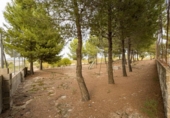 Chalet independiente con terreno en venta en la España, Moratalla, ref: TR141779 foto