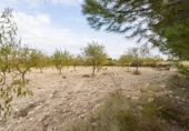 Chalet independiente con terreno en venta en la España, Moratalla, ref: TR141779 foto