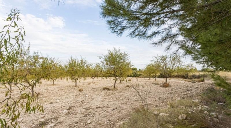 Murcia - Moratalla - 172m2