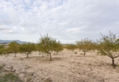 Chalet independiente con terreno en venta en la España, Moratalla, ref: TR141779 foto