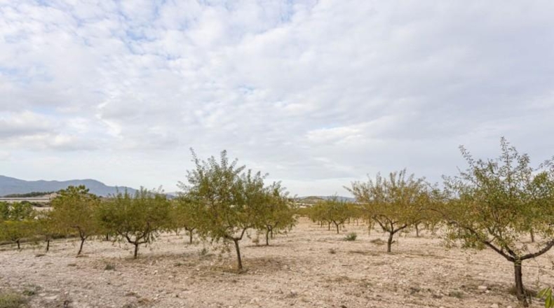 Murcia - Moratalla - 172m2