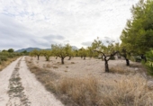 Chalet independiente con terreno en venta en la España, Moratalla, ref: TR141779 foto