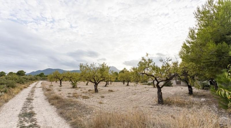 Murcia - Moratalla - 172m2