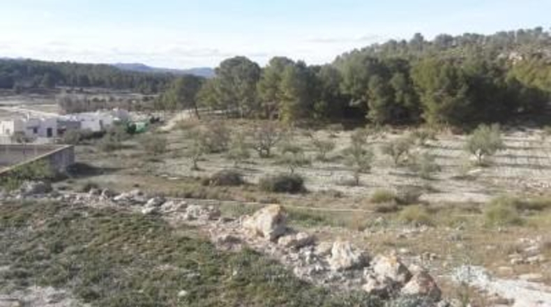 Múrcia - Calasparra - 13500m2