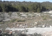 Non-developable land for sale on España, Calasparra, ref: TR120957 photo