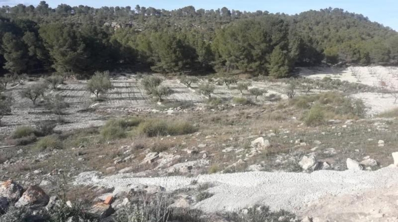 Múrcia - Calasparra - 13500m2