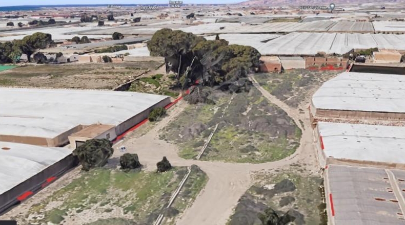Almeria - Almería - 11075m2