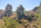 Urban land for sale on España, Calonge, ref: TR123806 photo