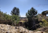 Urban land for sale on España, Calonge, ref: TR123806 photo