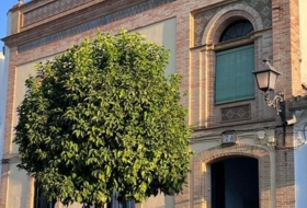El Pedroso 397&nbsp;m² 
