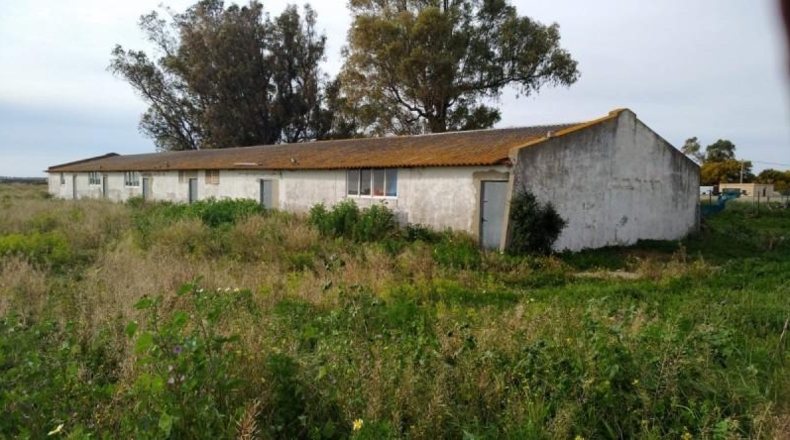 Cádiz - Chiclana de la Frontera - 15600m2