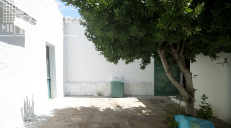 Ciudad Real - Tomelloso - 300m2