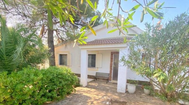 Valencia - Mogente - 960m2