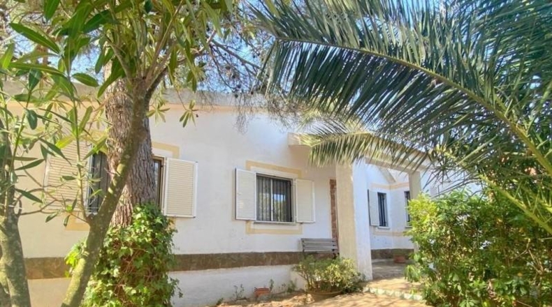 Valencia - Mogente - 960m2