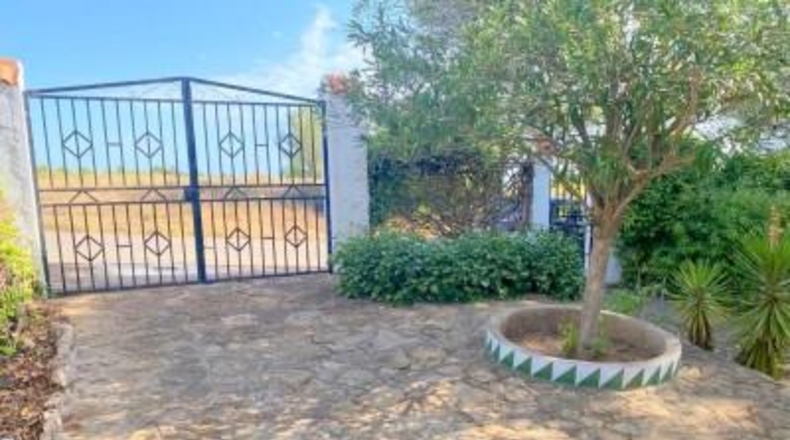 Valencia - Mogente - 960m2