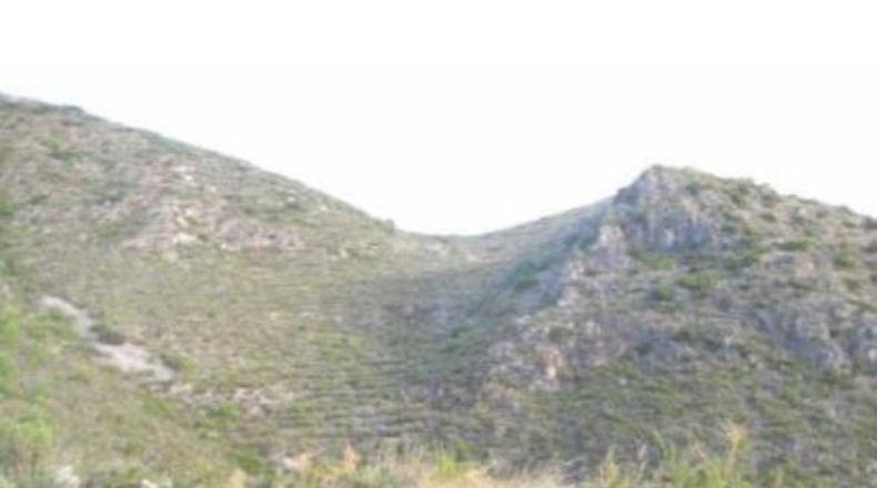 Alicante - Долорес - 93000m2