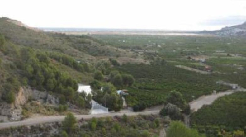 Alicante - Долорес - 93000m2