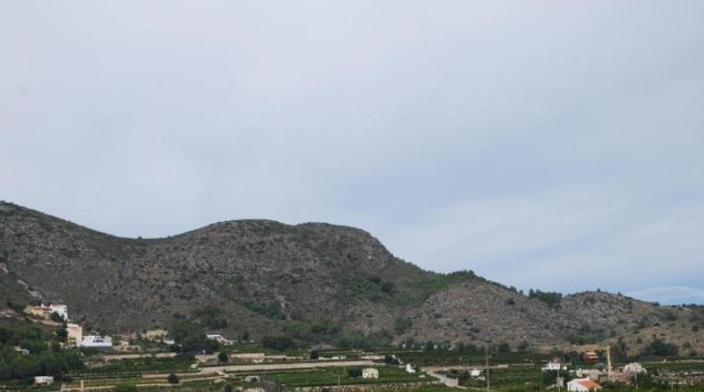 Alicante - Долорес - 93000m2