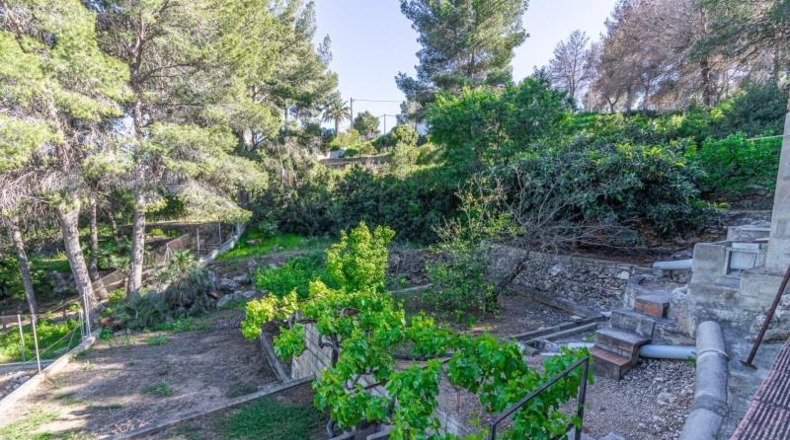 Valencia - Carlet - 1391m2