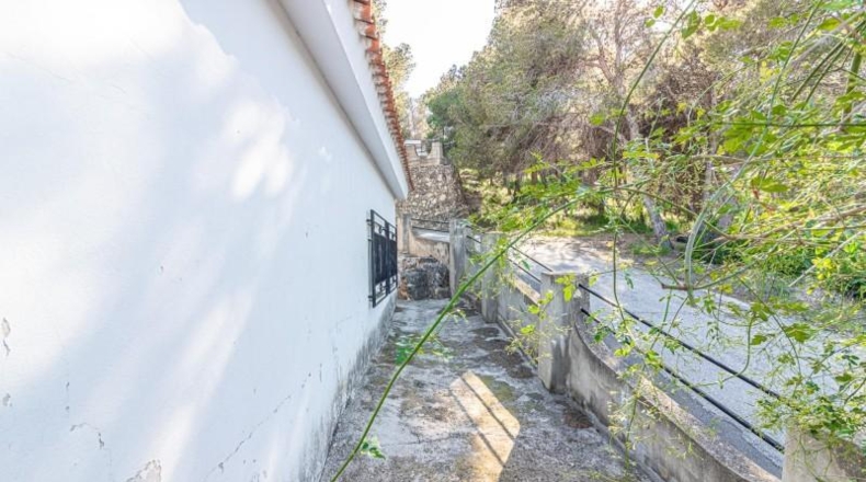 Valencia - Carlet - 1391m2