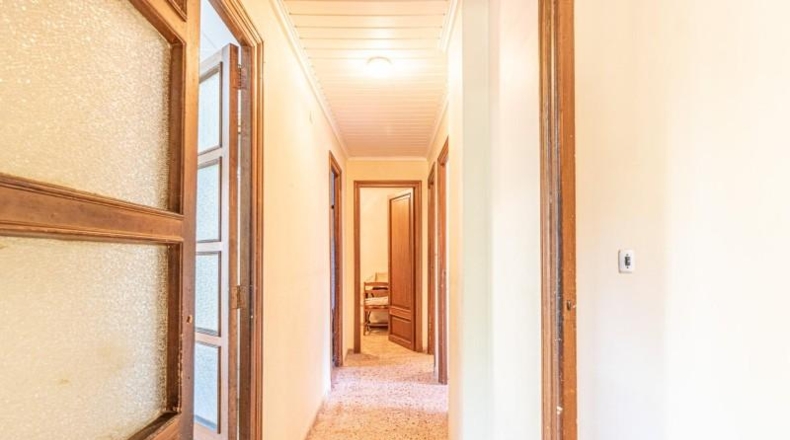 Valencia - Carlet - 1391m2