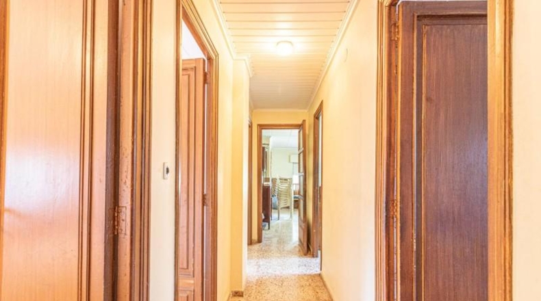 Valencia - Carlet - 1391m2