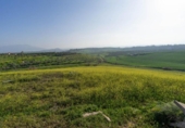 Terreno no urbanizable en venta en la España, Cártama, ref: TR316294 foto