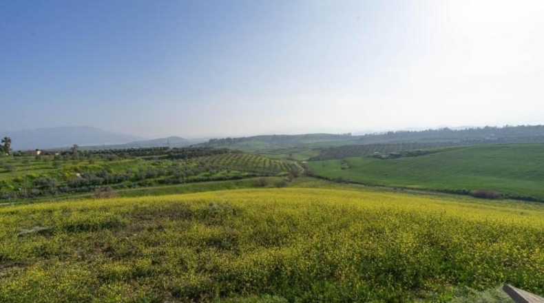 Zaragoza - La Almolda - 60000m2
