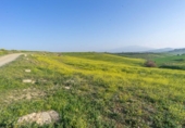 Terreno no urbanizable en venta en la España, Cártama, ref: TR316294 foto