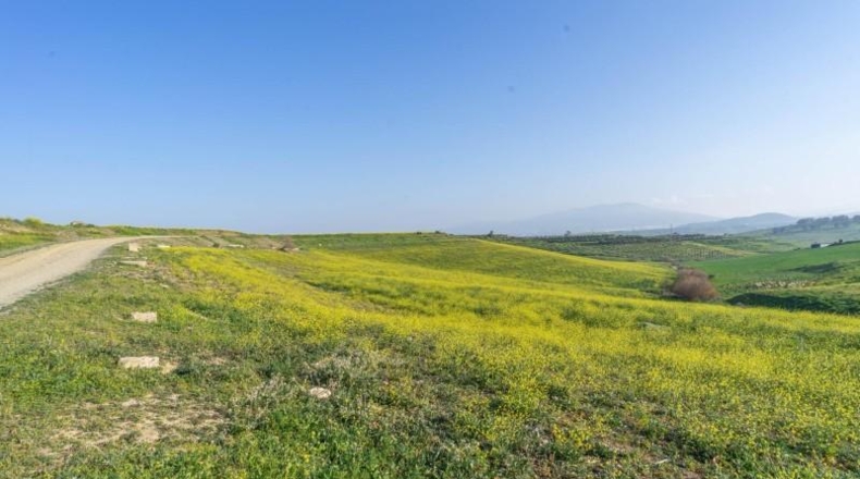 Zaragoza - La Almolda - 60000m2