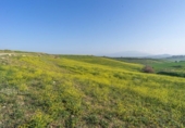 Terreno no urbanizable en venta en la España, Cártama, ref: TR316294 foto