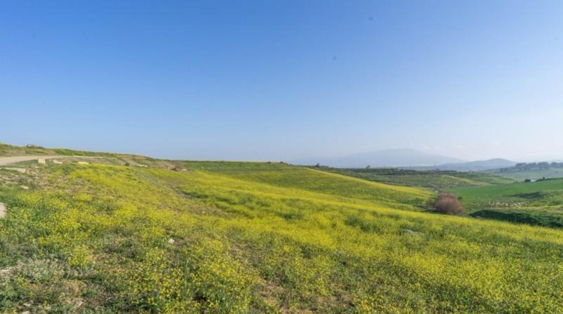 Zaragoza - La Almolda - 60000m2