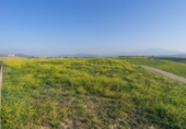 Terreno no urbanizable en venta en la España, Cártama, ref: TR316294 foto