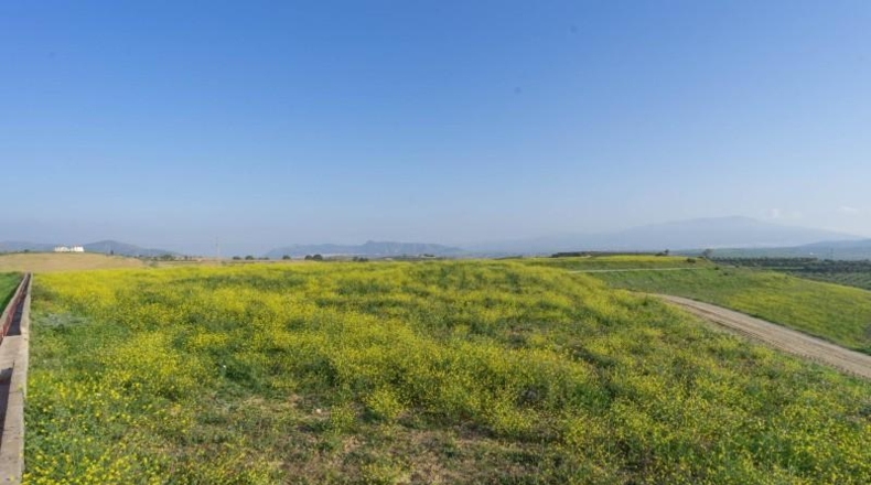Zaragoza - La Almolda - 60000m2