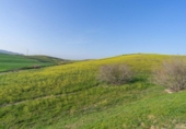 Terreno no urbanizable en venta en la España, Cártama, ref: TR316294 foto