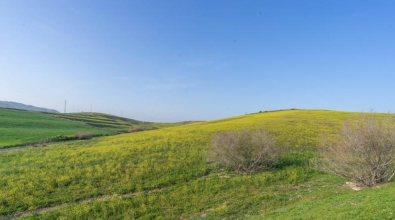 Zaragoza - La Almolda - 60000m2