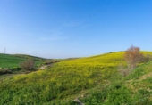 Terreno no urbanizable en venta en la España, Cártama, ref: TR316294 foto