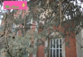 Xalet independent amb terreny en venda a la España, Fuentes de Jiloca, ref.: TR134547 foto