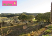 Xalet independent amb terreny en venda a la España, Fuentes de Jiloca, ref.: TR134547 foto