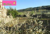 Xalet independent amb terreny en venda a la España, Fuentes de Jiloca, ref.: TR134547 foto