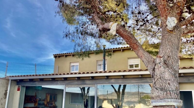 Alicante - Pinoso - 250m2